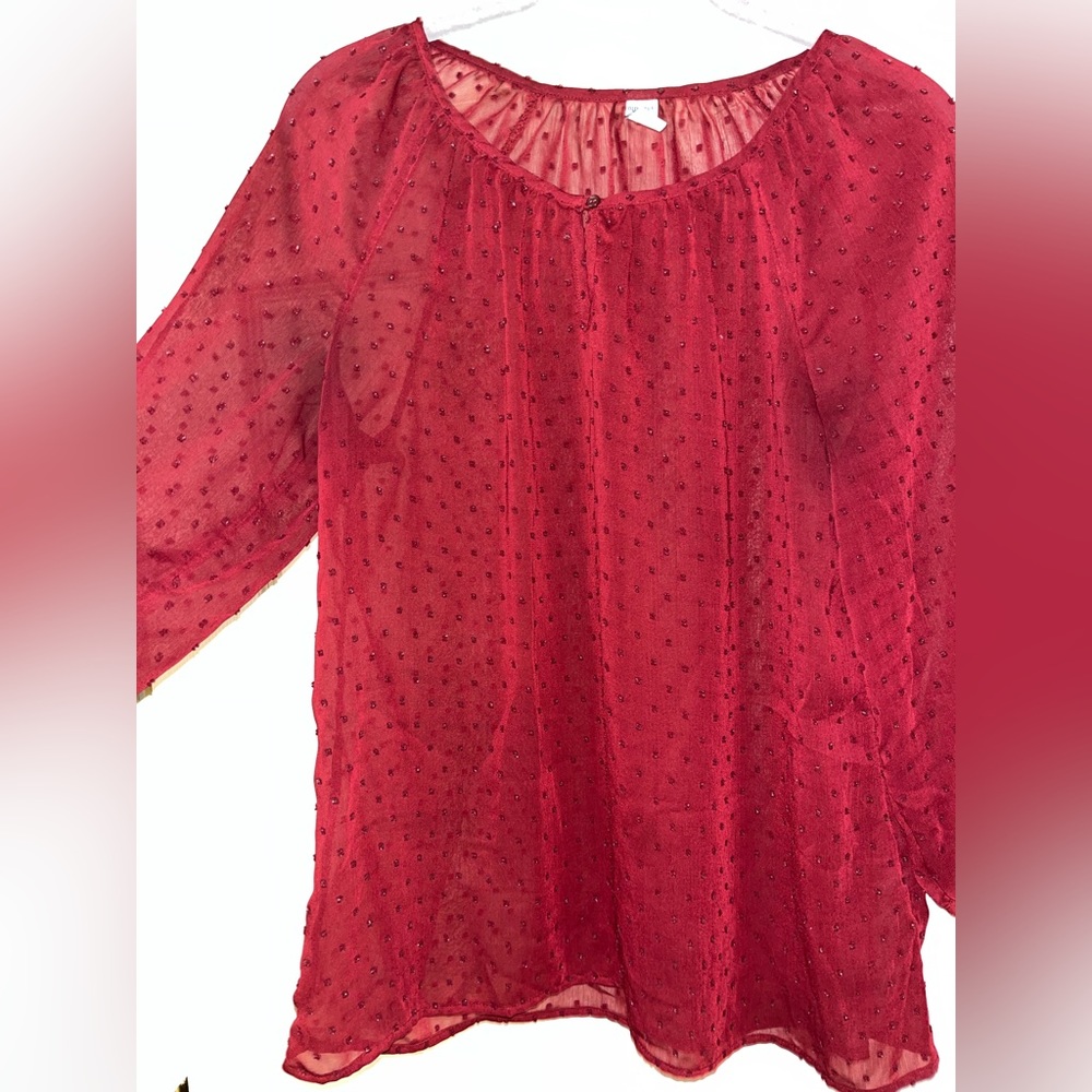 Old Navy Sheer Blouse